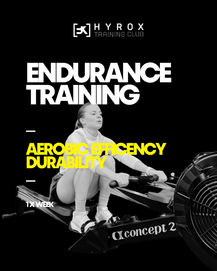 hybrid_training