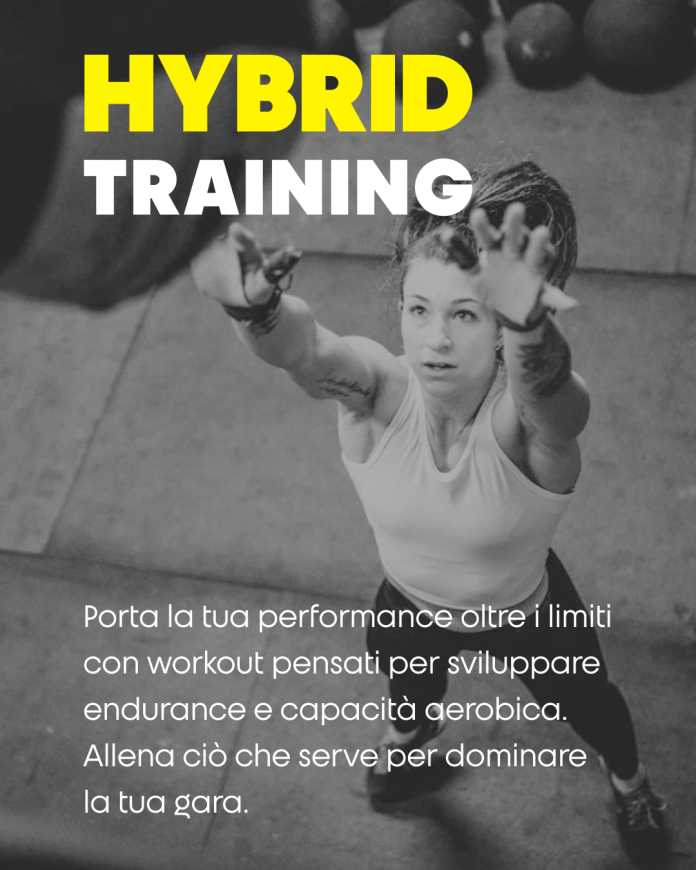 hybrid_training